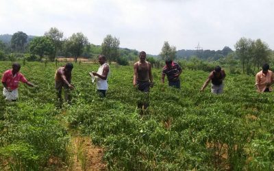 ಬಿಡುಗಡೆಯೆಂಬ ರೆಕ್ಕೆಯೊಂದಿಗೆ ಮಾತು:ಸುಜಾತಾ ತಿರುಗಾಟ ಕಥನ