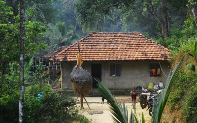 ಕಾಡ ಮಾಡಿನಲ್ಲಿ ನೆಲೆಸಿದ ಕುಟುಂಬದ ಕಥೆ: ಪ್ರಸಾದ್ ಶೆಣೈ ಕಥಾನಕ