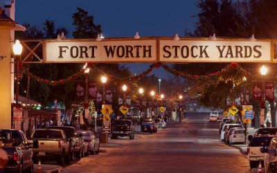 ಅಮೇರಿಕಾ, ಸಾಲು ಮರದ ತಿಮ್ಮಕ್ಕ ಹಾಗೂ ಕುರಿ ಕಾಮೇಗೌಡರು:ಸುಜಾತಾ ತಿರುಗಾಟ ಕಥನ