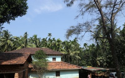 ಔಪಚಾರಿಕವಲ್ಲದ ಉಪಚಾರದ ಸೊಬಗಂದ್ರೇ…: ರೂಪಶ್ರೀ ಅಂಕಣ