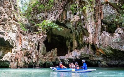 ವನ್ಯಮೃಗಗಳ ಸಂರಕ್ಷಣೆ ಮತ್ತು ಟೂರಿಸಂ ನಡುವಿನ ದ್ವಂದ್ವಗಳು: ಡಾ. ವಿನತೆ ಶರ್ಮಾ ಅಂಕಣ