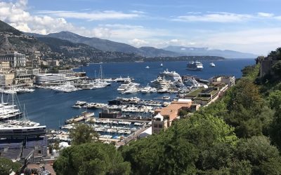 ಕಾನ್ಸಿನ ಕಲ್ಲು ದಾರಿಗುಂಟ ತೆರೆದುಕೊಂಡ ನಮ್ಮ ತವರು ಪ್ರೀತಿ: ಸುಜಾತಾ ತಿರುಗಾಟ ಕಥನ.