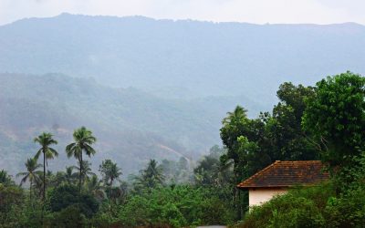 ವಾಲಿಕುಂಜದ ಕಾಡಲ್ಲಿ ಮಳೆ ಮಾತಾಡಿತು: ಪ್ರಸಾದ್ ಶೆಣೈ ಮಾಳ ಕಥಾನಕ