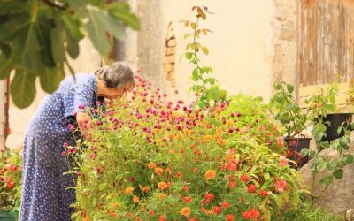 ವಲಸಿಗರ ಪರದೇಶಿತನದಲ್ಲೂ ಇರೋ ಆಸೆಗಳು: ಡಾ. ವಿನತೆ ಶರ್ಮಾ ಅಂಕಣ.