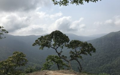 ಮರಸು ಅನ್ನೋ ಊರಿನ ಸ್ಥಳ ಪುರಾಣ: ಸುಜಾತಾ ತಿರುಗಾಟ ಕಥನ