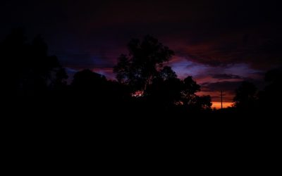 ಮಾಳದ ಎರಡು ಕನಸುಗಳು,ಮಾಳದ ಎರಡು ಸಂಜೆಗಳು:ಪ್ರಸಾದ್ ಶೆಣೈ ಕಥಾನಕ