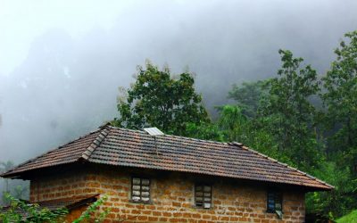 ಪದ್ದಜ್ಜಿಯ ಕಣ್ಣಲಿ ಕಂಡ ನೆನಪುಗಳ ಜಲಪಾತ: ಪ್ರಸಾದ್ ಶೆಣೈ ಅಂಕಣ