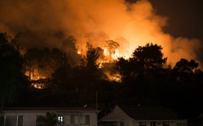 ರಾಣಿರಾಜ್ಯದಲ್ಲಿ ಬೆಂಕಿ ವಿಕೋಪ, ಪ್ರವಾಹ ತಾಪ: ವಿನತೆ ಶರ್ಮ ಅಂಕಣ