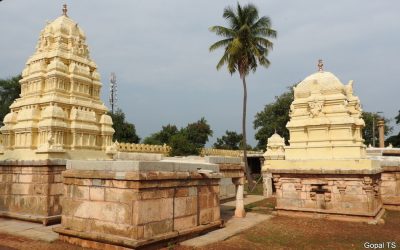 ಉಮ್ಮತ್ತೂರಿನ ದೇವಾಲಯಗಳು: ಟಿ.ಎಸ್. ಗೋಪಾಲ್ ಬರೆಯುವ ಹೊಸ ಅಂಕಣ