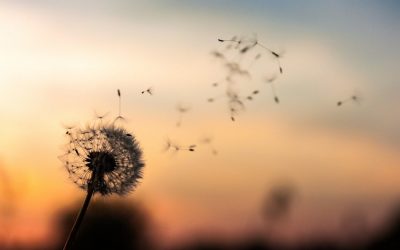 ತೊರೆದು ಜೀವಿಸಬಹುದೇ ನಿಮ್ಮ ಚರಣಗಳ: ಕೃಷ್ಣ ದೇವಾಂಗಮಠ ಅಂಕಣ