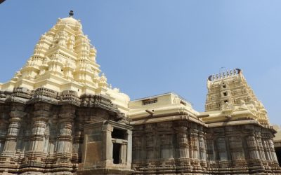 ನಾಗಮಂಗಲದ ಸೌಮ್ಯಕೇಶವ: ಟಿ. ಎಸ್ ಗೋಪಾಲ್ ಬರೆಯುವ ದೇಗುಲಗಳ ಸರಣಿ