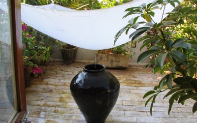 ಮುಗಿಲಿನಿಂದುದುರುವ ಝಣ ಝಣ ಕಾಂಚಾಣ: ಮಧುಸೂದನ್ ವೈ.ಎನ್ ಅಂಕಣ