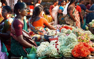 ಸರ್ವೇಜನ ಸುಖೀನೋ ಭವಂತು….: ಲಕ್ಷ್ಮಣ ವಿ.ಎ. ಅಂಕಣ