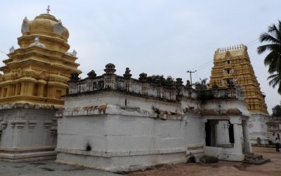 ಮೂಗೂರಿನ ದೇಶೇಶ್ವರ: ಟಿ.ಎಸ್. ಗೋಪಾಲ್ ಬರೆಯುವ ದೇಗುಲಗಳ ಸರಣಿ