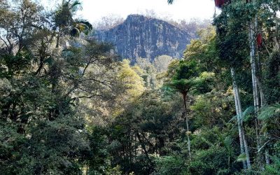 ಇದು ಎಂಥ ಲೋಕವಮ್ಮ…! : ವಿನತೆ ಶರ್ಮ ಅಂಕಣ