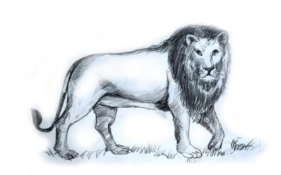 ಬೆಂಗಳೂರಲ್ಲಿ ಕಳೆದುಹೋದ ಸಿಂಹ: ಶಂಕರಪ್ಪ ಕೆ.ಪಿ. ಬರೆದ ಕತೆ