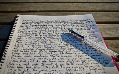 ‘ಎಲ್ಲಿ ಒಮ್ಮೆ ಹೊಡೆದು ತೋರಿಸಿ ನೋಡೋಣ?’: ಶ್ರೀಹರ್ಷ ಸಾಲಿಮಠ ಅಂಕಣ