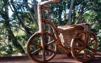 ಗುಜರಿ ಕಥೆಗಳು: ವಿನತೆ ಶರ್ಮಾ ಅಂಕಣ