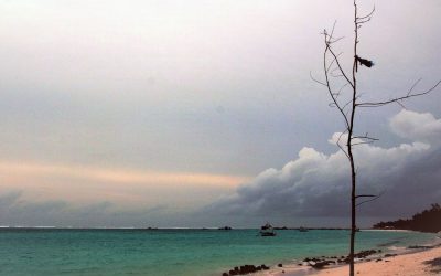 ಸೈಕಲ್ಲು ಗಾಲಿಗಳಂತೆ ಚಲಿಸುತ್ತಿರುವ ನಿರಾಯಾಸ ಬದುಕು: ಅಬ್ದುಲ್ ರಶೀದ್ ಬರೆಯುವ ಲಕ್ಷದ್ವೀಪ ಡೈರಿ