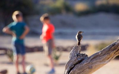 ಮತ್ತೆ ಮತ್ತೆ ನೆನೆಯುವುದೂ ಸುಖವೇ…: ಆಶಾ ಜಗದೀಶ್ ಅಂಕಣ