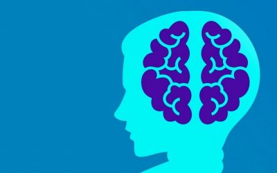 ಮಾನವನ ಮಿದುಳು ಮತ್ತು ನಡವಳಿಕೆಗಳು: ಶೇಷಾದ್ರಿ ಗಂಜೂರು ಅಂಕಣ