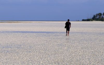 ಸಿಂಹದ ಮೂಗ ತುದಿಯ ಸವರಿದ ತೆಂಗಿನ ತೋಪಿನವನ ಕಥೆ