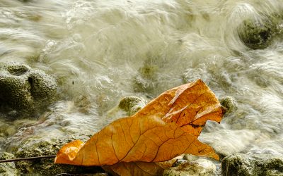 ಹುಡುಕುವ ಭರ, ಕಳೆದುಹೋಗುವ ಭಯ: ಪ್ರಶಾಂತ್‌ ಬೀಚಿ ಅಂಕಣ