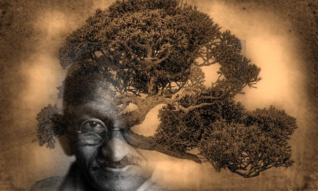 ಹಂದಲಗೆರೆ ಗಿರೀಶ್‌ ಬರೆದ ಈ ದಿನದ ಕವಿತೆ: ಗಾಂಧಿ ಗಿಡ