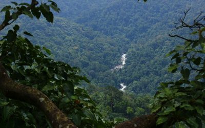 ದೂರ ಅನ್ನುವ ಹತ್ತಿರ ಭಾವವಿದು…