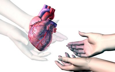 ದಾನಗಳಲ್ಲಿ ಮಹಾದಾನ…