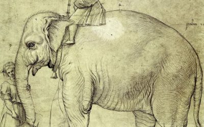 ‘ಆನೆಗೆ ಬಂದ ಮಾನ’ ಶೇಷಾದ್ರಿ ಗಂಜೂರು ಹೊಸ ಸರಣಿ ಆರಂಭ