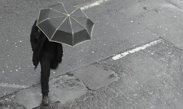 ಎಂ.ವಿ. ಶಶಿಭೂಷಣ ರಾಜು ಬರೆದ ಆಷಾಢ ಕವಿತೆ