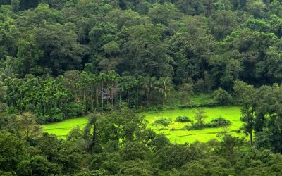 ಚೌಕಟ್ಟಿನೊಳಗೆ ಕೂತ ಒಂದು ಊರಿನ ಚಿತ್ರ