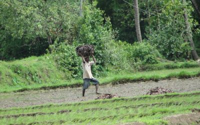 ಕಣ್ಣ ಕಾಡಿನ ಹಾಡು