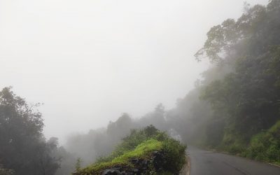 ಅಣಶಿ ಘಟ್ಟದ ಮೇಲಿನ ಹಾದಿ