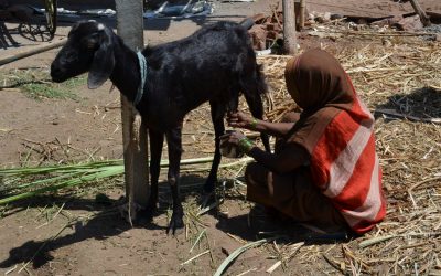 ಅಪ್ಪನ ಕೌಟುಂಬಿಕ ಅರ್ಥಶಾಸ್ತ್ರ