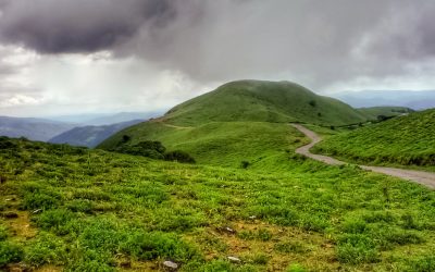 ನೀಲ ಕುರುಂಜಿಯ ನಾಡಿನಲ್ಲಿ ರಕ್ತಸಿಕ್ತ ಅಧ್ಯಾಯ
