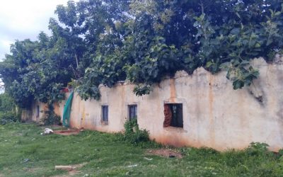 ನಾಟಕದ ಹೊಟ್ಟೆ ನೋವೂ ಮತ್ತು ತಪ್ಪಿದ ಹಾಜರಾತಿ