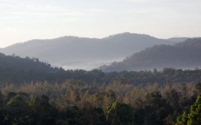 ಕವಿಶೈಲದ ಹುಲಿಯೂ ದೂರದ ಕುದುರೆಮುಖವೂ