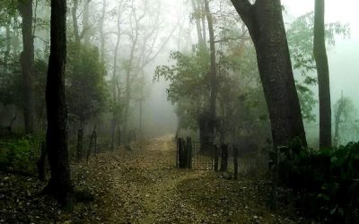 ಛತ್ರಪತಿ ಶಿವಾಜಿ ಮಹಾರಾಜನ ಮಗನು ಆಡುವಳ್ಳಿಗೆ ಓಡಿಬಂದ ಕತೆ!