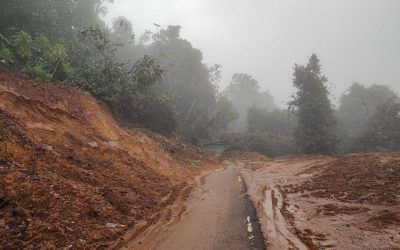 ಕಾಡಿನ ಮನೆಯ ಅಕ್ಕರೆಯ ಕಾವು
