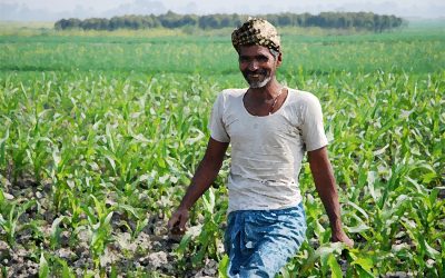 ಬದುಕಿನಲ್ಲಿ ನಮ್ಮ ಬೀಳಿಸಿ, ಬುದ್ಧಿ ಕಲಿಸಿದಾತನೂ ಗುರುವೇ..