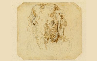 ರೆಂಬ್ರಾಂಟ್ನ ಕಣ್ಣಿಗೆ ಬಿದ್ದ ಹಾನ್ಸ್ಕೆನ್ ಎಂಬಾನೆಯ ಕತೆ-ವ್ಯಥೆ