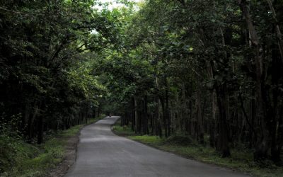 ಇರುಳಿನ ಹೊಸ ಬಣ್ಣ