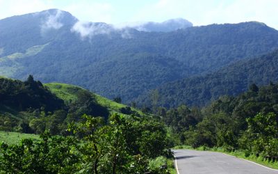 ಪೇರಳೆಯ ಸಿಹಿ ಕೊಡುವ ಕಾಡಿನೊಡಲ ಜೀವ