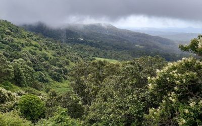 ಮತ್ತೊಂದು ಜನಪದವನ್ನು ಗೌರವಿಸುವ ವಿನಯಶೀಲತೆಗೆ ಕಾಯುತ್ತಾ..