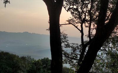 ಚಳಿಗಾಳಿ, ಸಿಹಿಗಾಳಿಯ ಕಂಪೆಲ್ಲ ಸೊಗಸಾಗಿ..