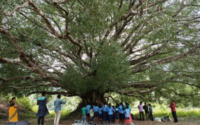 ಸಂಸೆ ಗುಡ್ಡದ ಮೇಲೆ ಮಕ್ಕಳು ಹೇಳಿದ ಪಾಠ