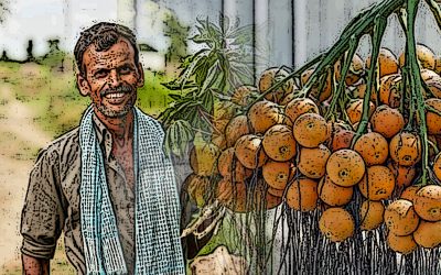 ಅಡಿಕೆ ಹೊತ್ತ ತಲೆಯ ಮೇಲೆ ಆನೆ ಕುಳಿತಾಗ