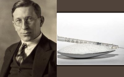 ಇನ್ಸುಲಿನ್ ಎಂಬ ‘ಜೀವಕಾರಕ’ದ ವಿಕಾಸ